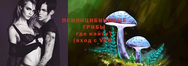 ALPHA PVP Михайловск