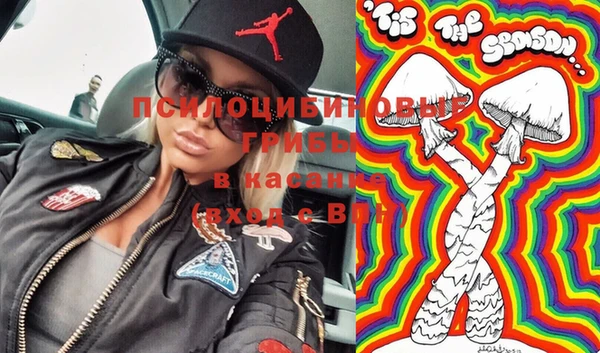 mdpv Михайлов
