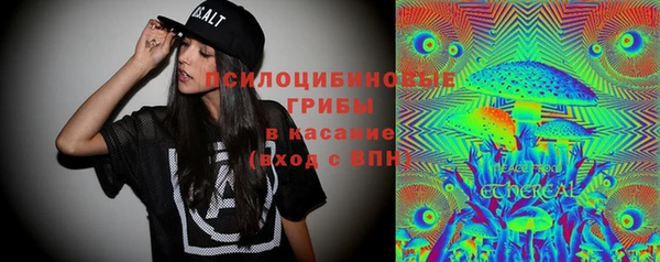 бутират Медногорск