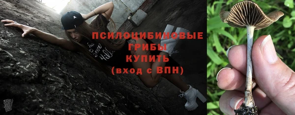 mdpv Михайлов