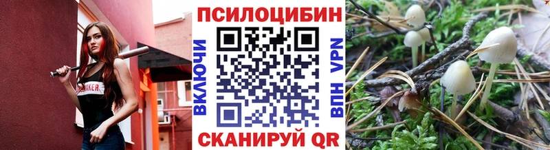 Галлюциногенные грибы Magic Shrooms  сколько стоит  Благовещенск 