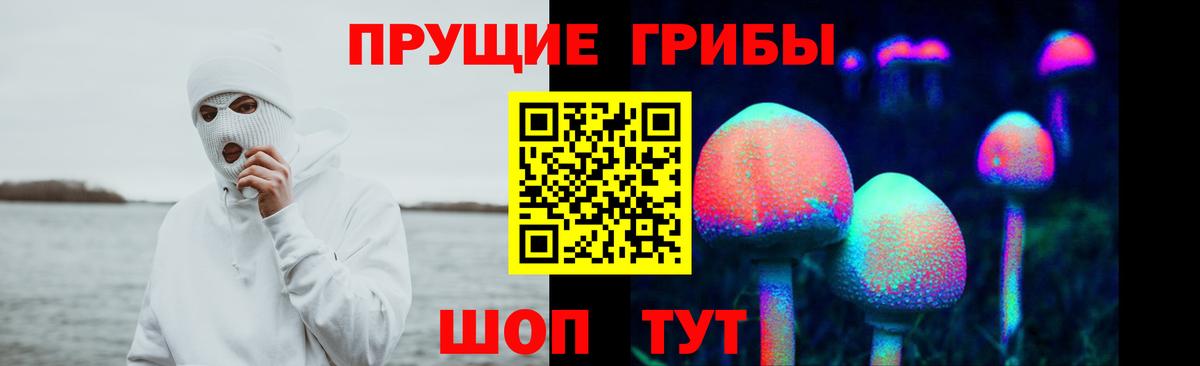 где купить наркоту  Благовещенск  Галлюциногенные грибы GOLDEN TEACHER 